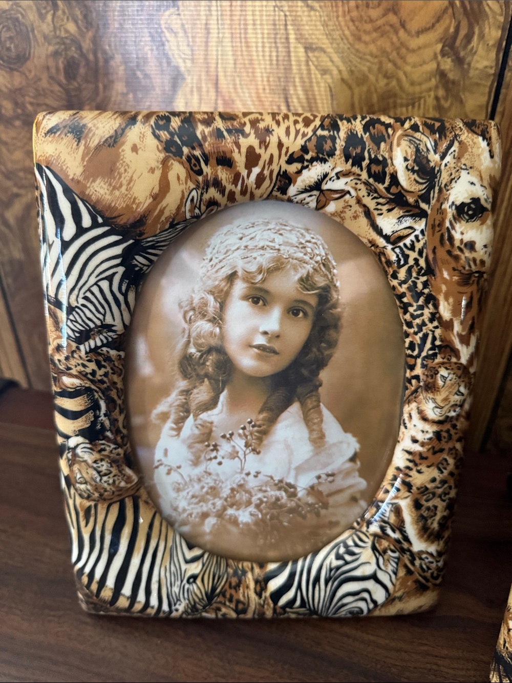 Decorative Leopard & Zebra Print Photo Frame set - Picture 2 of 6